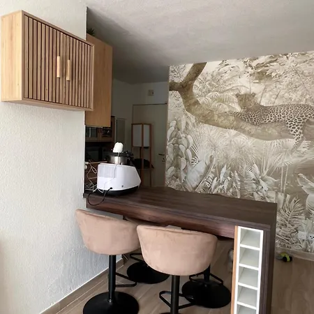 Daire Charmant 2 Pieces 36M2 Climatise, Terrasse 20M2 *